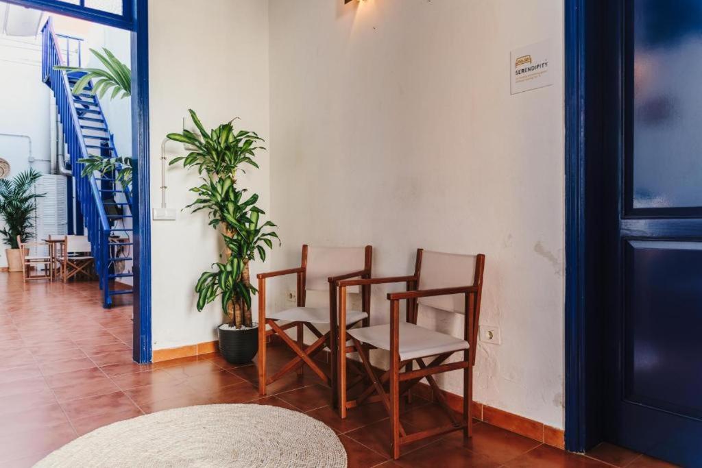 Ashavana Nest Hostel El Médano Extérieur photo