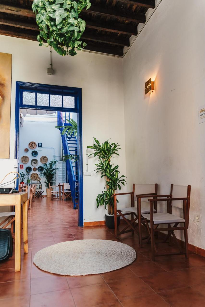 Ashavana Nest Hostel El Médano Extérieur photo